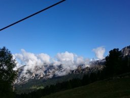 2016 Rosengarten