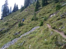 2016 Rosengarten