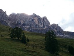 2016 Rosengarten