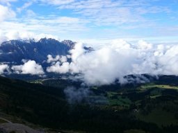 2016 Rosengarten