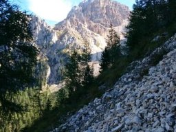 2016 Rosengarten