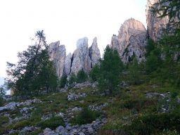 2016 Rosengarten