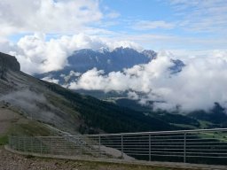 2016 Rosengarten