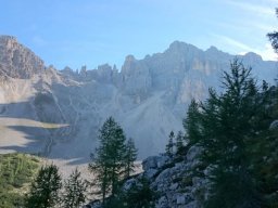 2016 Rosengarten