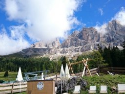 2016 Rosengarten