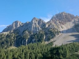 2016 Rosengarten