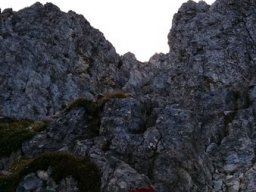 2016 Rosengarten