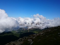 2016 Rosengarten
