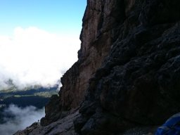 2016 Rosengarten