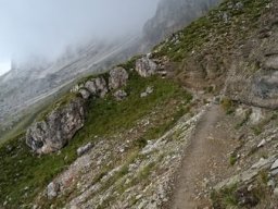 2016 Rosengarten