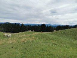 2024 SeiserAlm