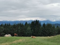 2024 SeiserAlm