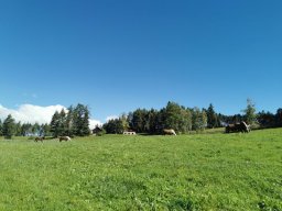 2024 SeiserAlm