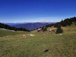 2024 SeiserAlm