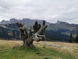 2024 SeiserAlm
