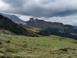 2024 SeiserAlm