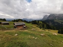 2024 SeiserAlm
